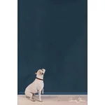 AUBUSSON BLUE - Annie Sloan Wall Paint falfesték