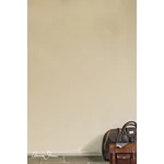 COUNTRY GREY - Annie Sloan Wall Paint falfesték