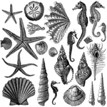 IOD - Seashore 30,5 x 30,5 cm pecsét