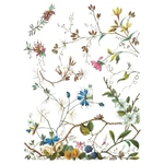 IOD -  Lost Garden dekor bútortranszfer