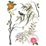 IOD -  Menagerie dekor bútortranszfer