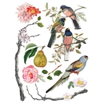 IOD -  Menagerie dekor bútortranszfer