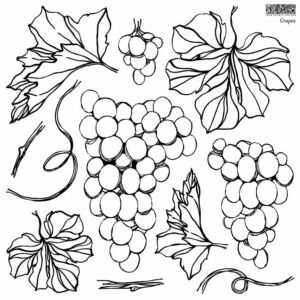 IOD - Grapes 30,5 x 30,5 cm dekor pecsét