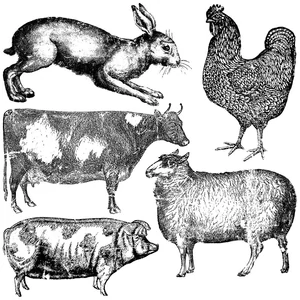 IOD FARM ANIMALS 30X30 CM - dekor pecsét