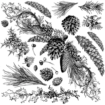 IOD - EVERGREEN 30,5 x 30,5 cm pecsét